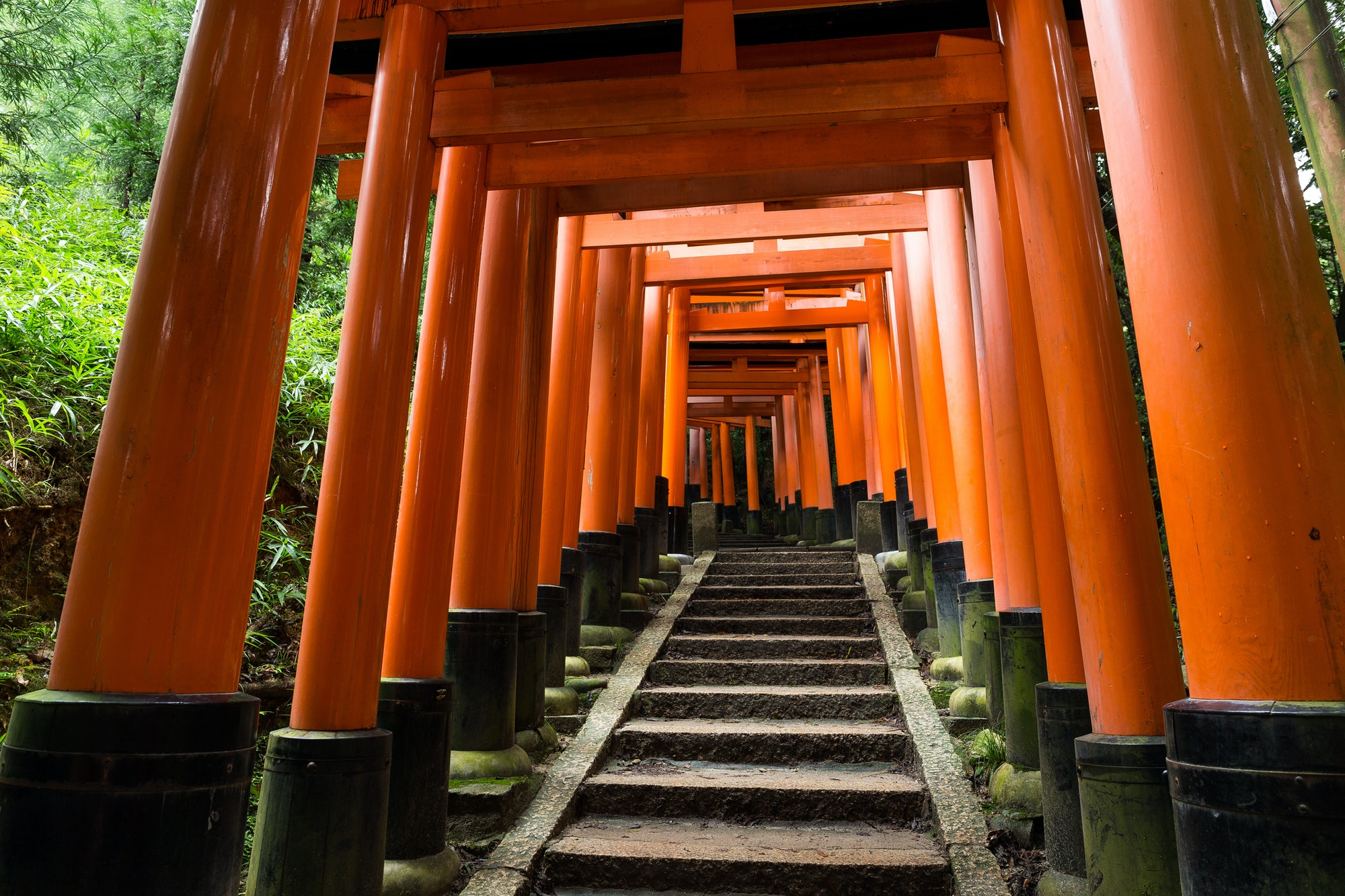 Fushimi Inari Shrine Torii temple in kyoto Japan