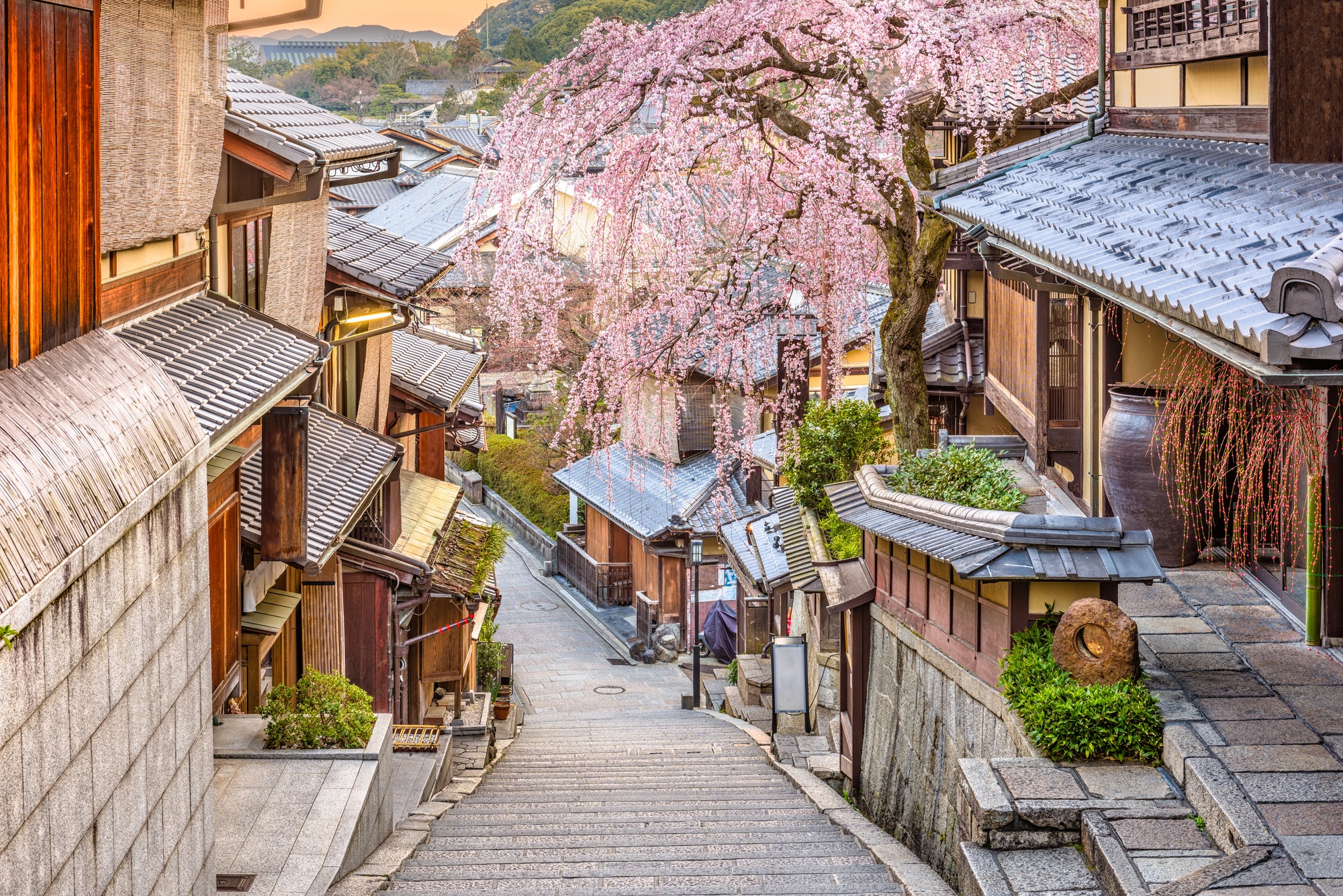 Kyoto, Japan Spring