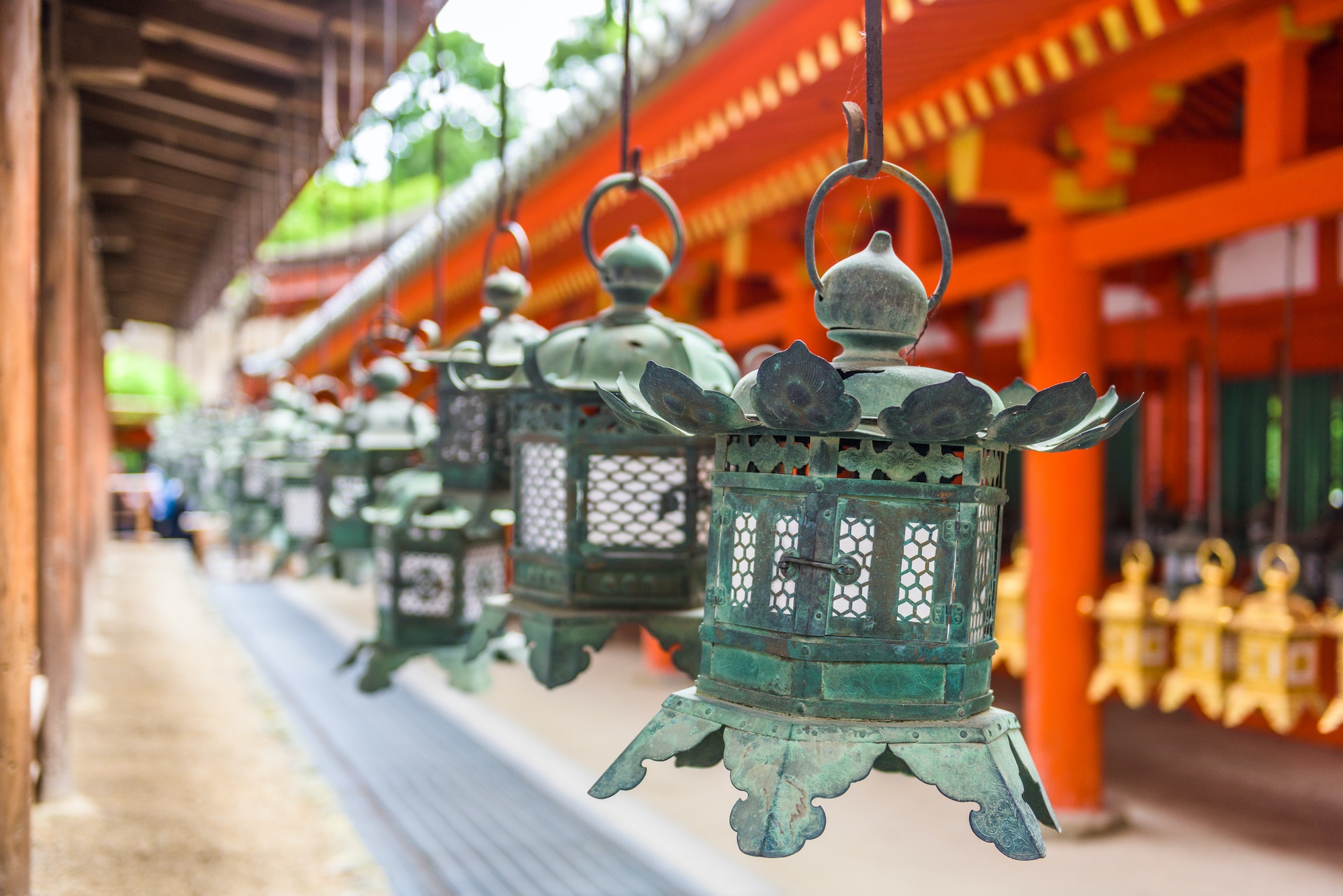 Kasuga Taisha Shrine Lanterns