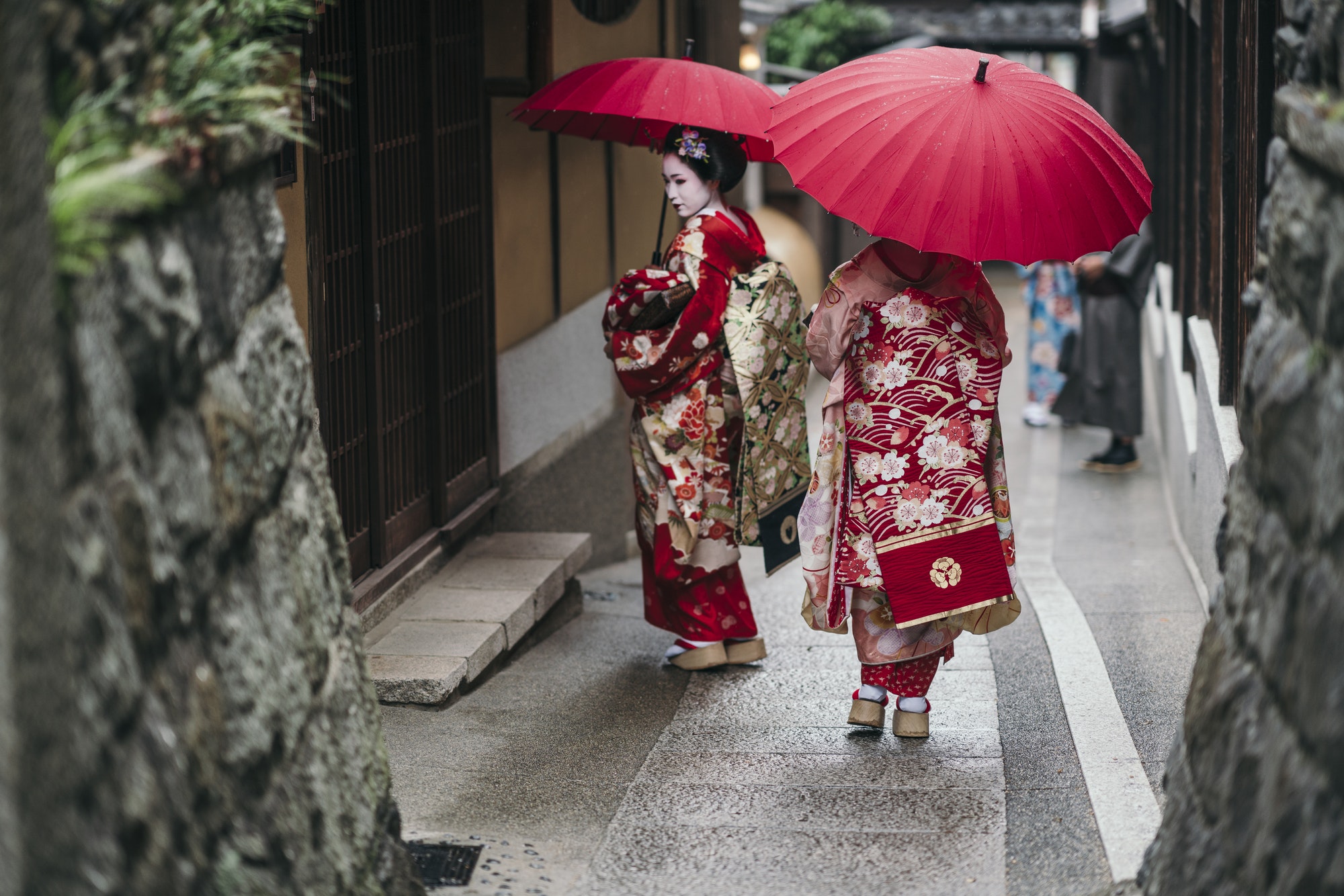 Maiko geishas walking on a street of Gion